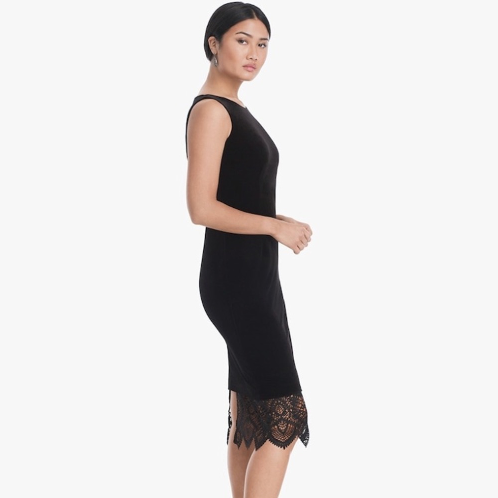 WHBM NWT Dress Velvet Sheath - Picture 3 of 7